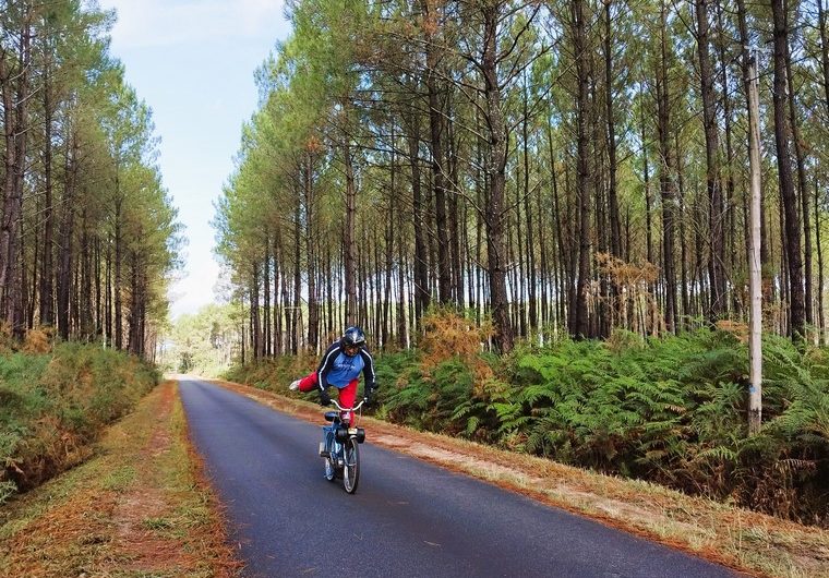 IMG_20240912_115926 (Copier)