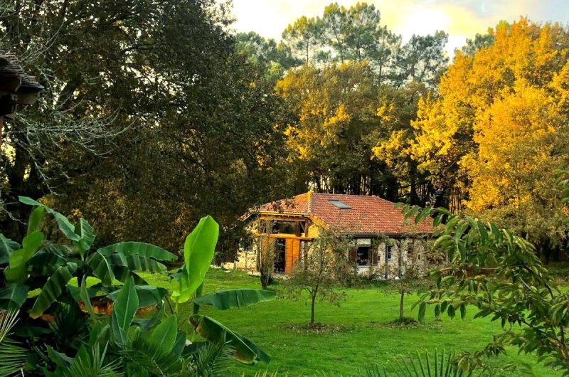 IMG-20241105-WA0013 BIS