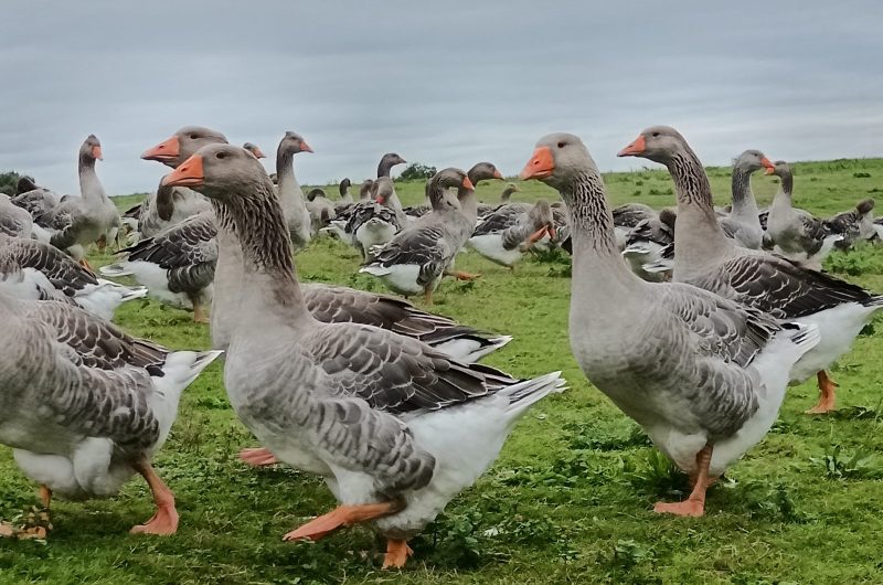 IMG_20250925_111200_resized_20260211_032854025