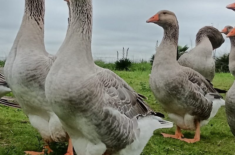 IMG_20250925_111222_resized_20260211_032853452