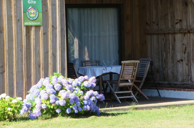 IMG_2878