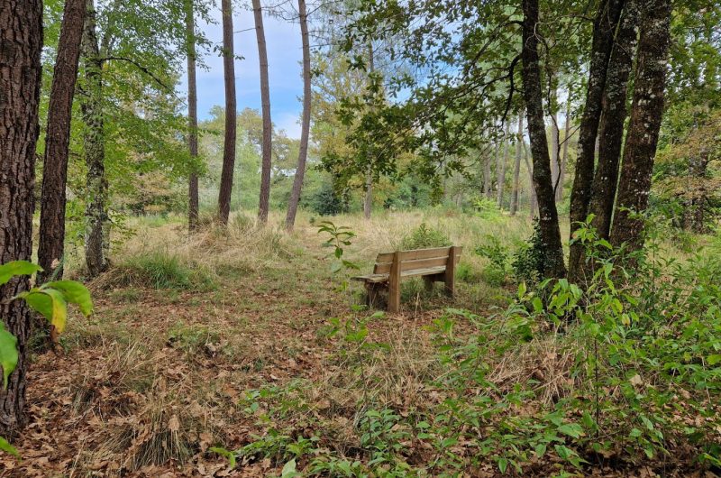 Jardin des abeilles @A_Magliari (1)