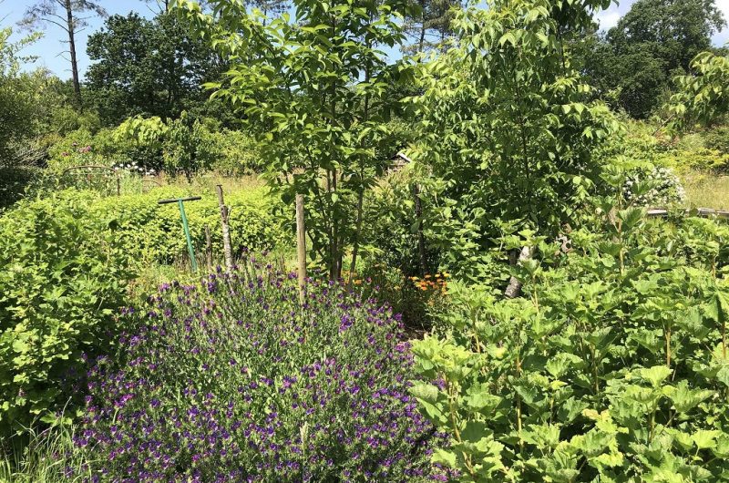 Jardins Humanité11_TYROSSE_OTILAS