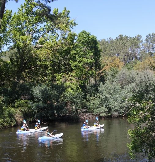 Kayak courant 7 (Copier)