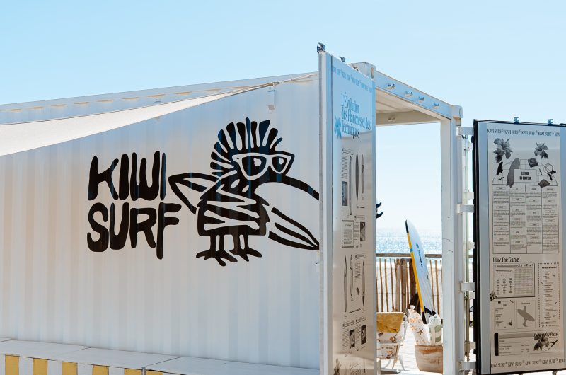 Kiwi-03994