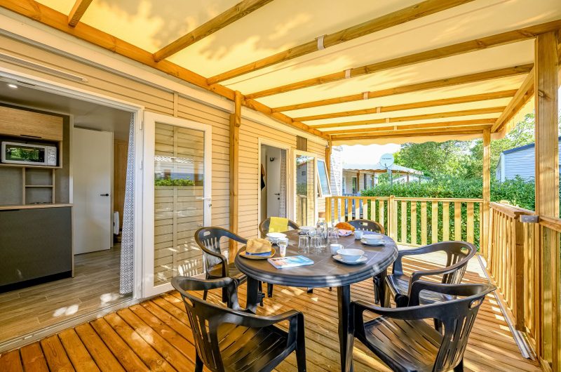 L’Arbre d’Or_170924_009