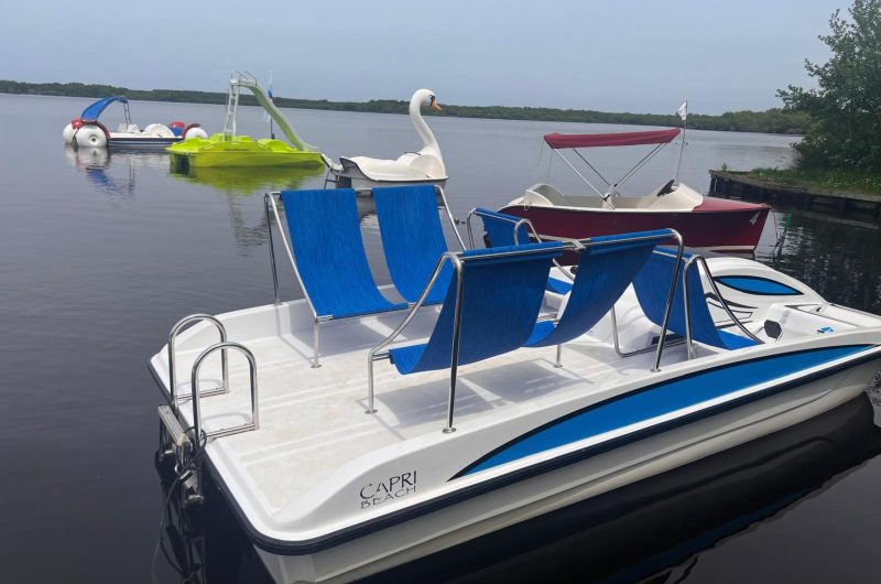 LEON_Chez Gisou_Cygne