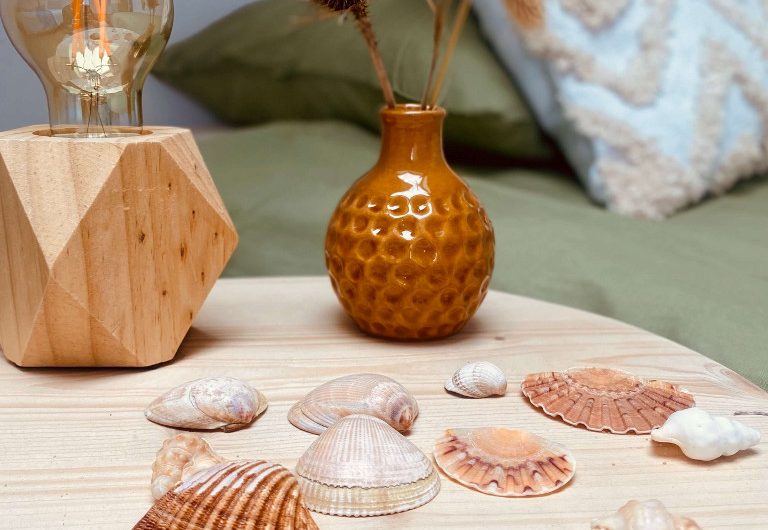 LIT-Sukha-chambre verte