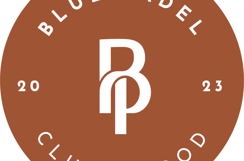 LOGO-BLUE-PADEL-29 (3)