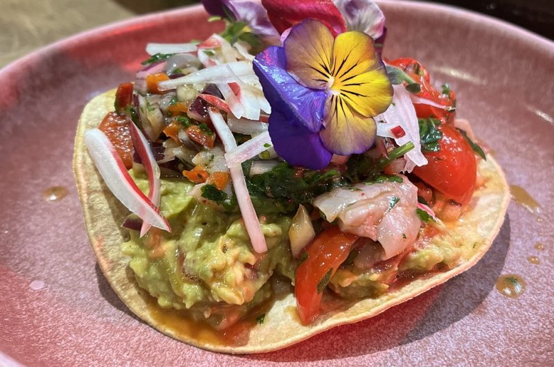 La Kbane Moliets2023_LandesAtlantiqueSud7