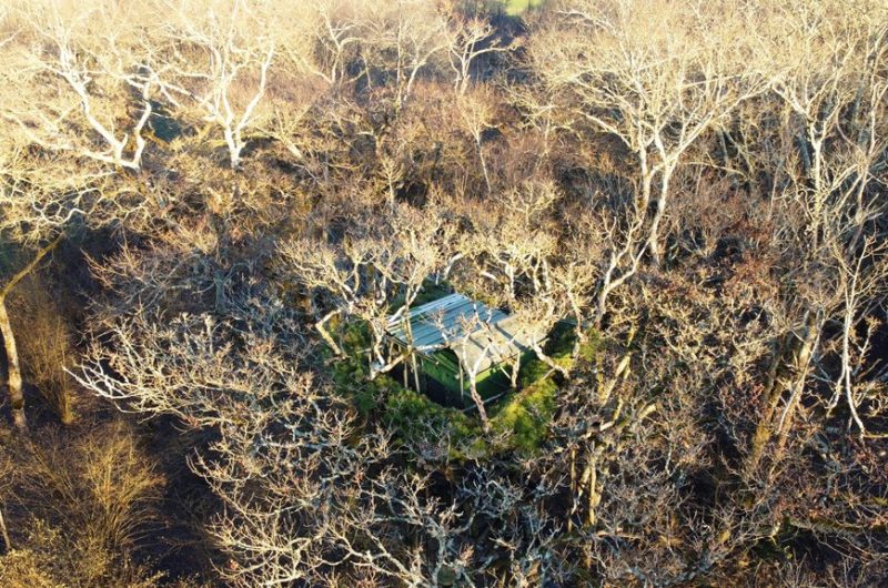 La Palombière – Balades 3 lavoirs