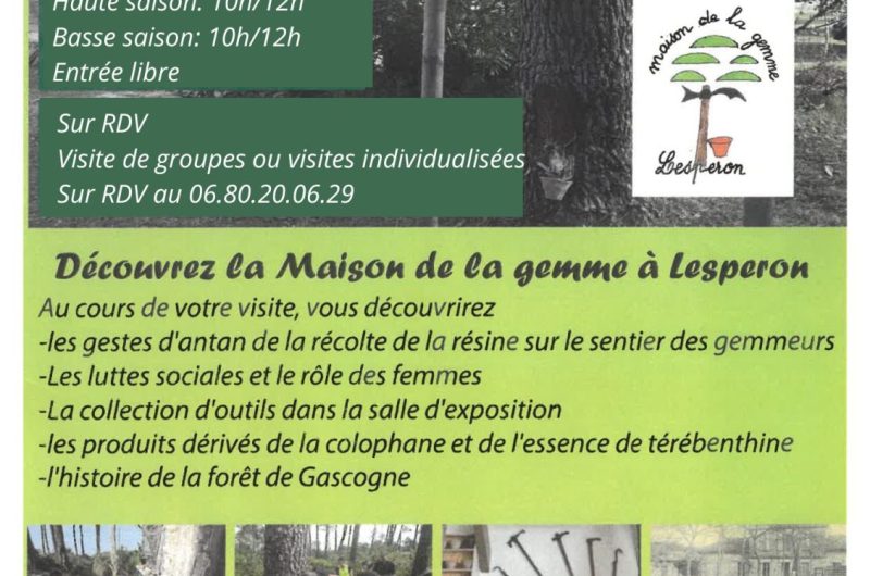 Design sans titre – 1