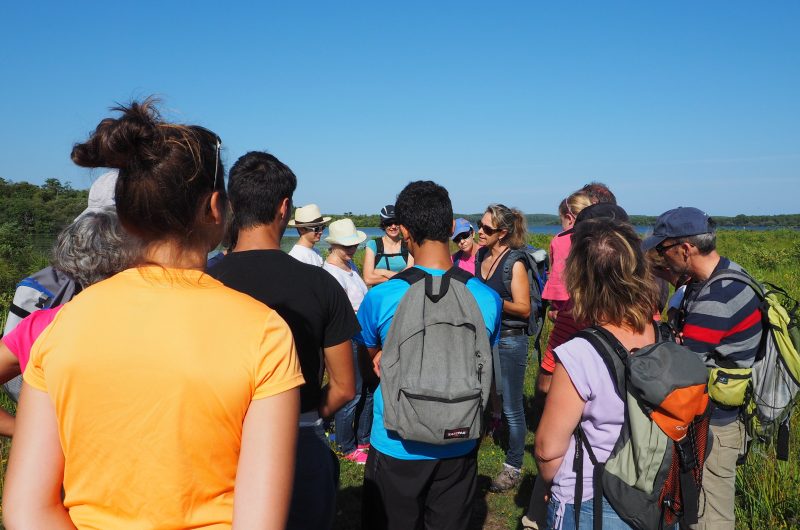 Lac d’Aureilhan Crédit photo obligatoire VG OIT Mimizan (86)
