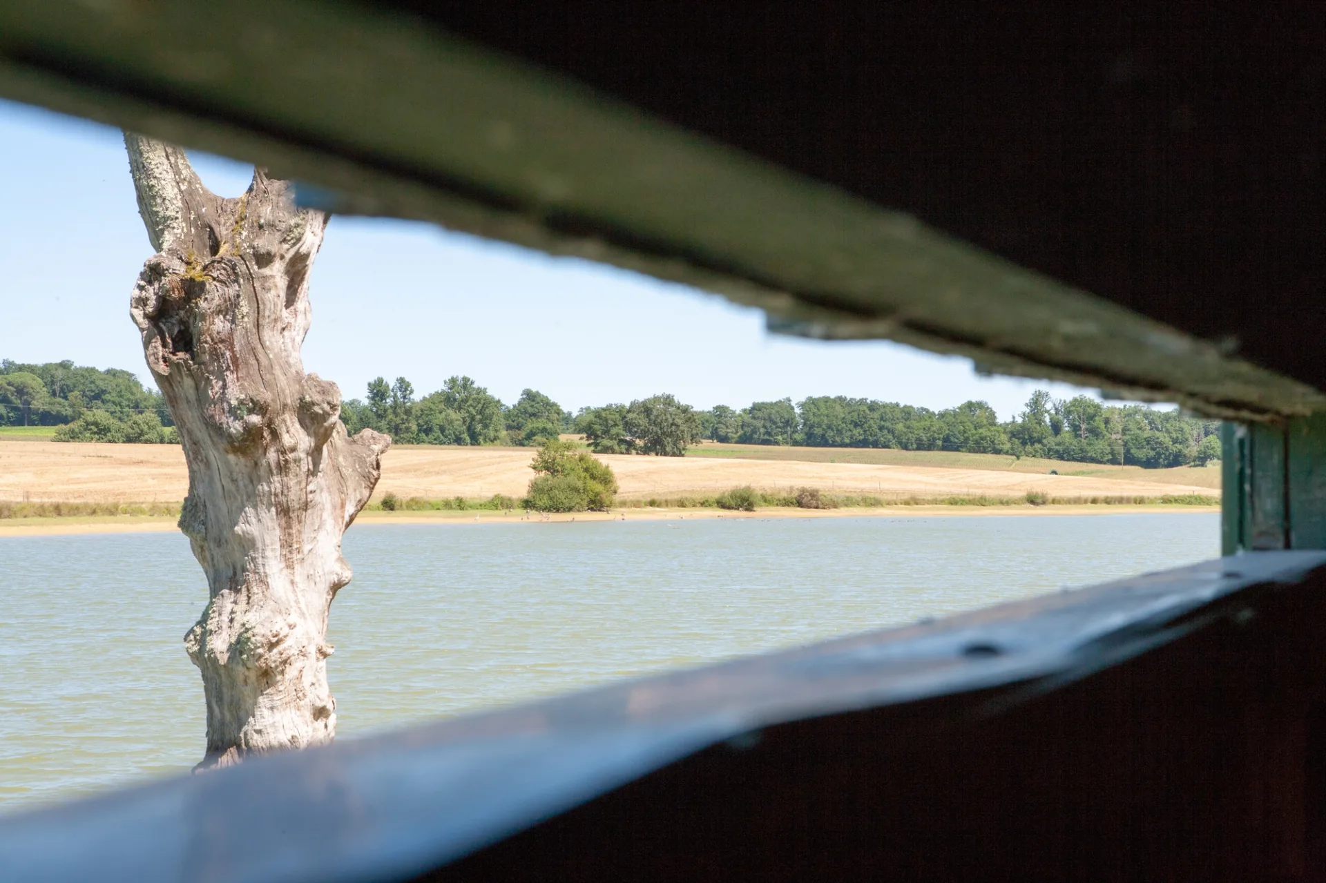 Lagrange – TER – Nature – Observatoire (2)