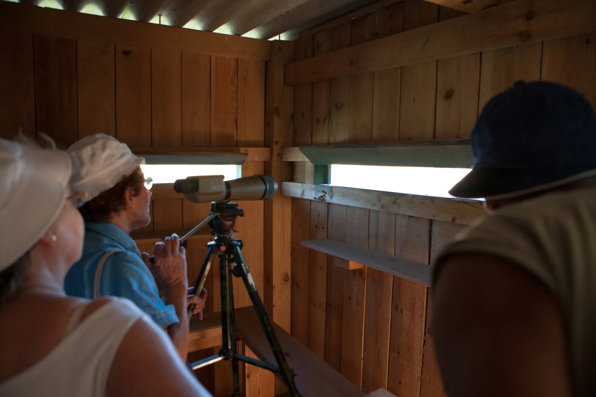 Lagrange – TER – Nature – Observatoire (3)