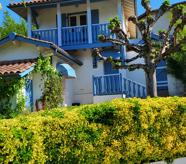 Le Jardin Tropical (3)