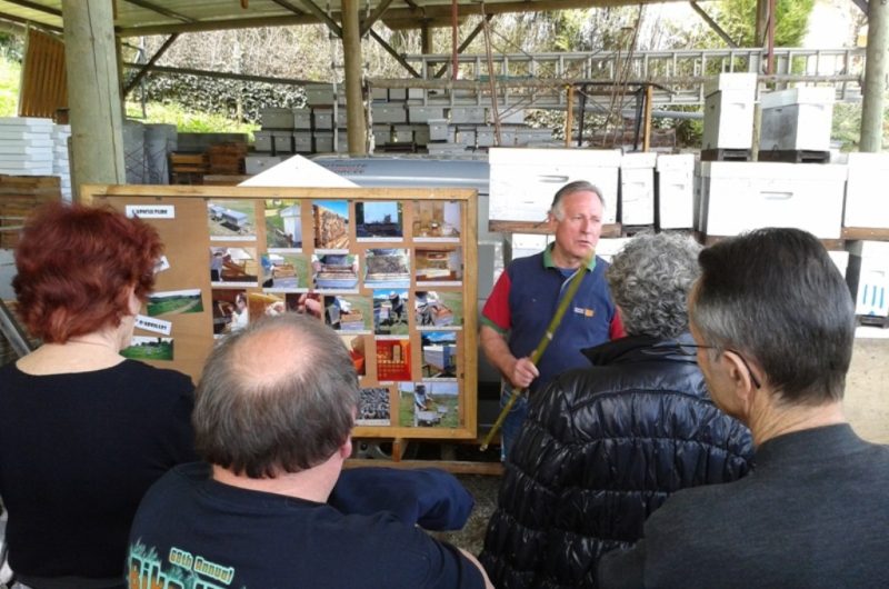 Le Rucher – présentation de l’apiculture