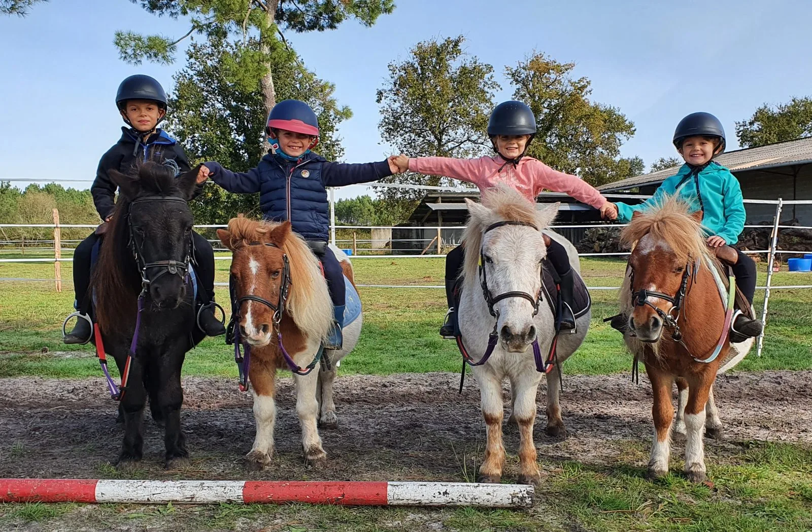 Léon_EcuriesMont Royal (3)