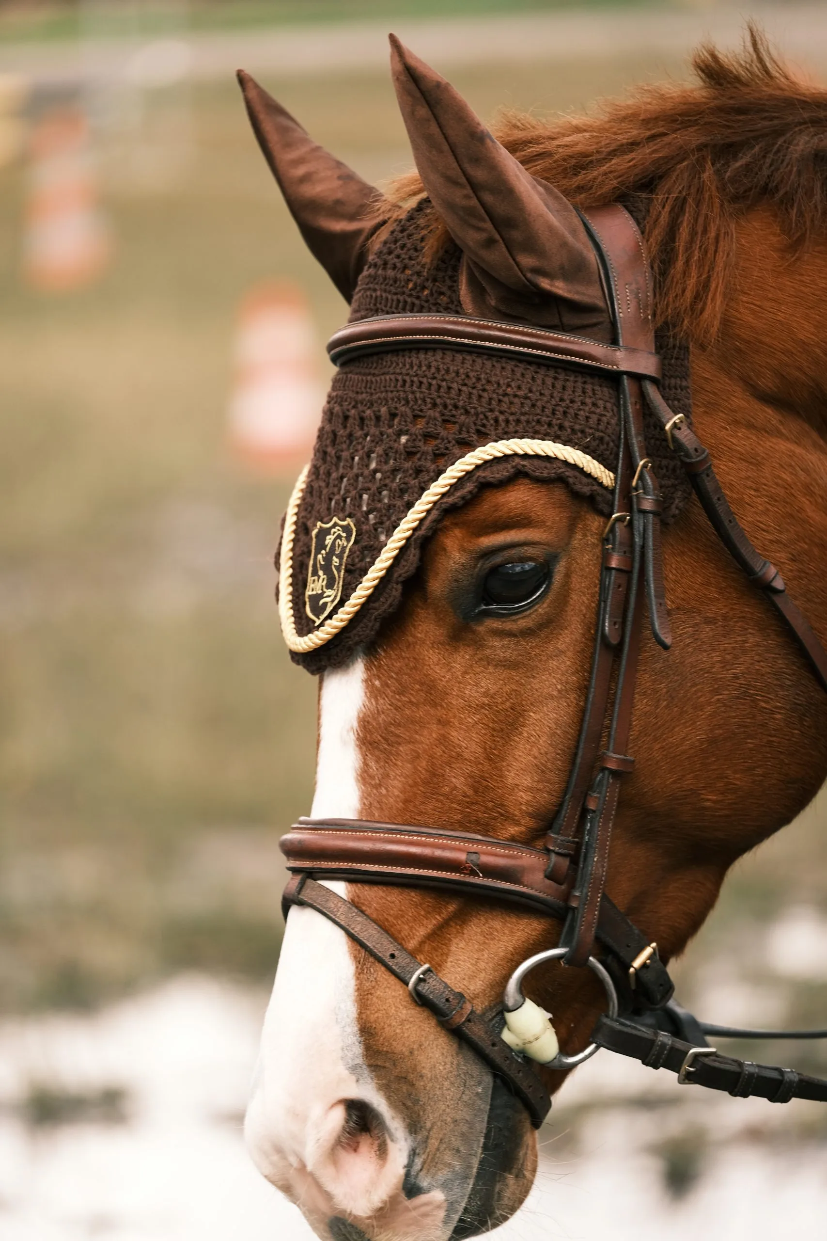 Léon_EcuriesMont Royal (6)