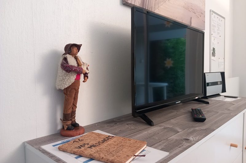 Les Albizias 13-14 -salon séjour (21)