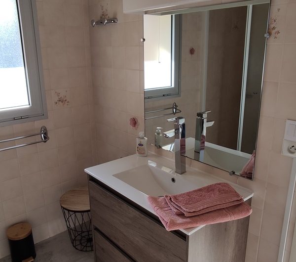 Les Albizias 8 et 9 (7)