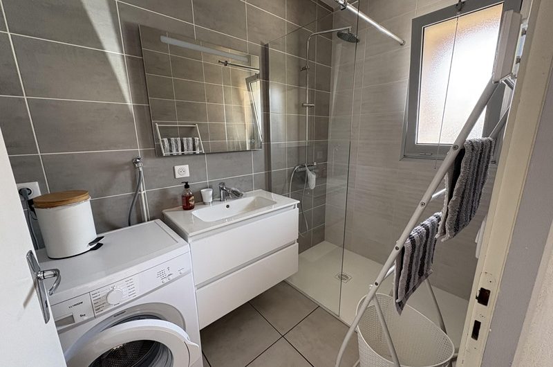 Les Alibizias n°3 (2)