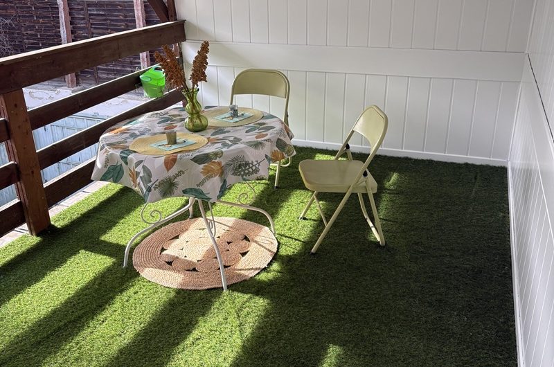 Les Hirondelles n°5 (3)