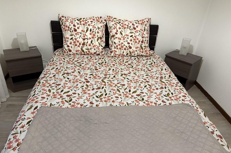 Les Hirondelles n°6 (1)