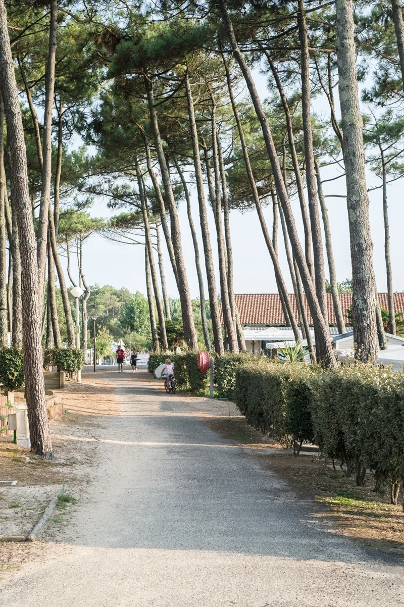 Les-Sableres-Vieux-Boucau-Landes-Atlantique-Sud-12