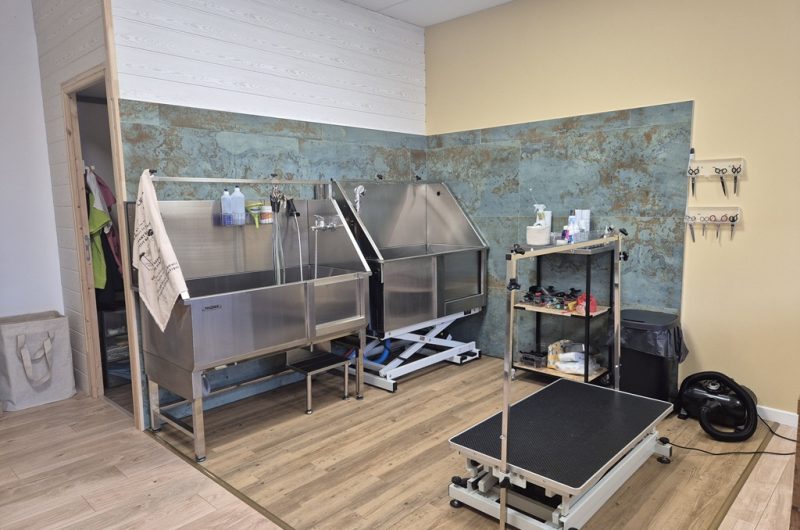 Les baigneurs canins Molietsetmaa 2025-3@OTI_LandesAtlantiqueSud