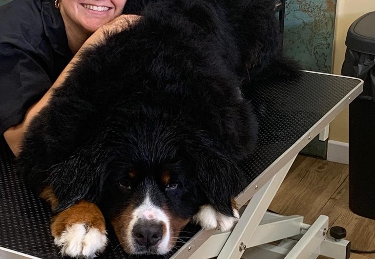 Les baigneurs canins Molietsetmaa 2025-6@OTI_LandesAtlantiqueSud