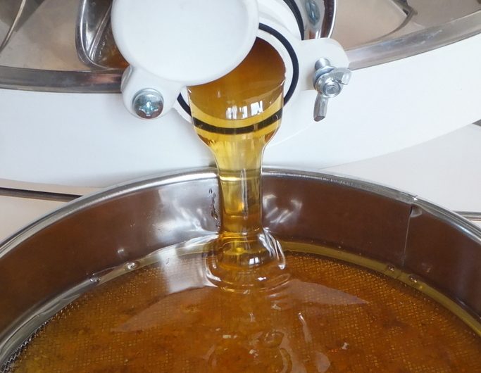 Les butineuses du Castagnos – 5