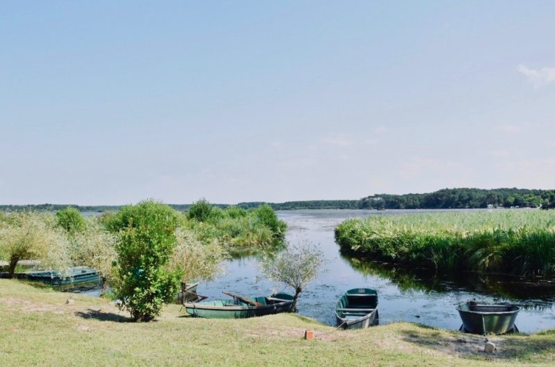 Les roseaux 2019 ©Les Roseaux (2)