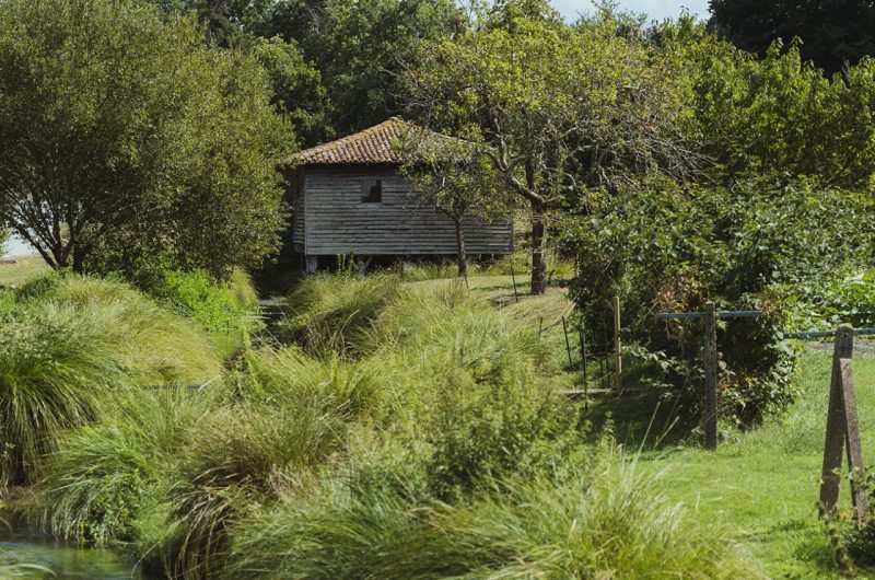 A Lévignacq, circuit de Barzague