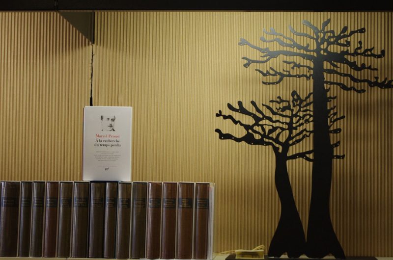 Librairie-Lacoste-6-02c620c2c5344932880c322ada82fb0d