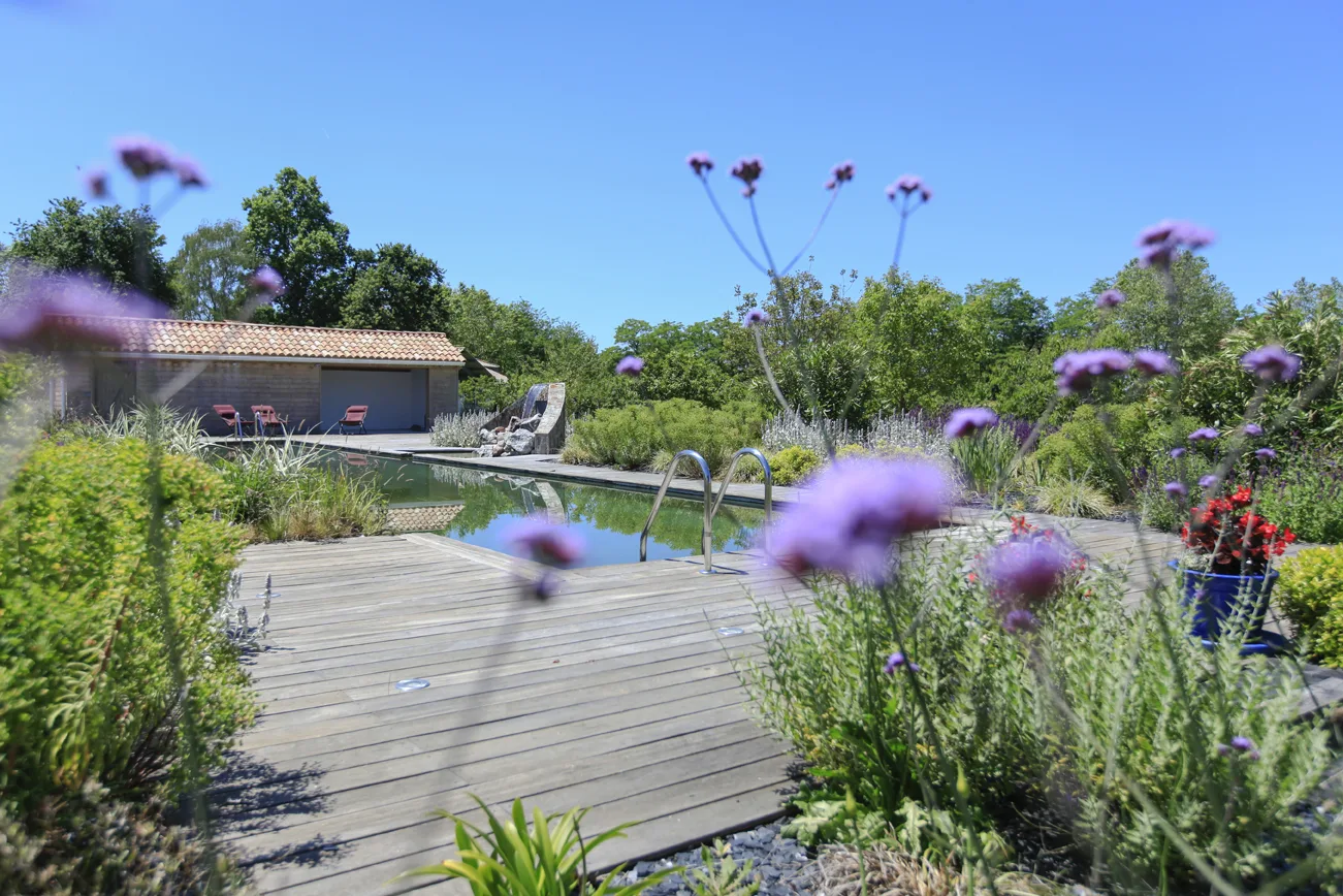 Location-Seddiki—Landes-atlantiquesud–18-