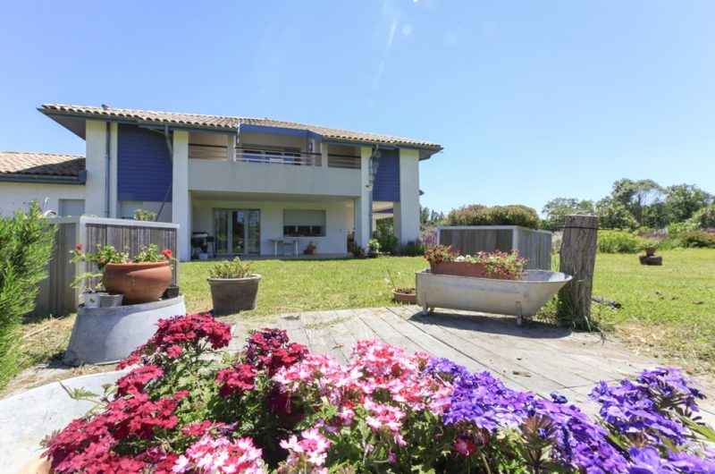 Location-Seddiki—Landes-atlantiquesud–20-