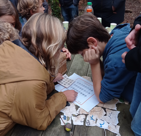 Mademoiselle Plante Chasse aux trésor