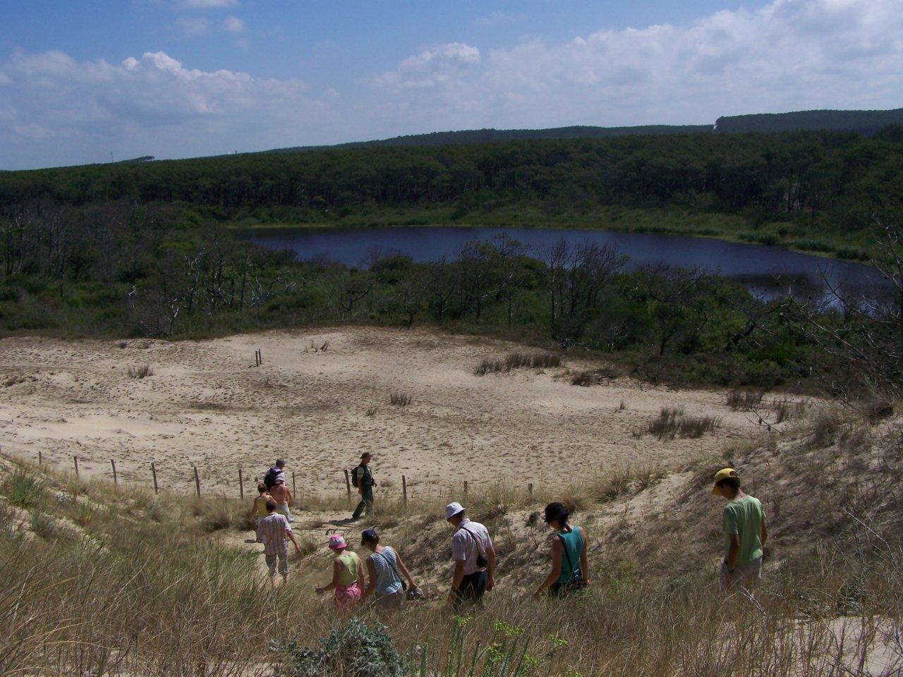 A Mimizan Plage, sentier de découverte «l’Etang de la Mailloueyre»