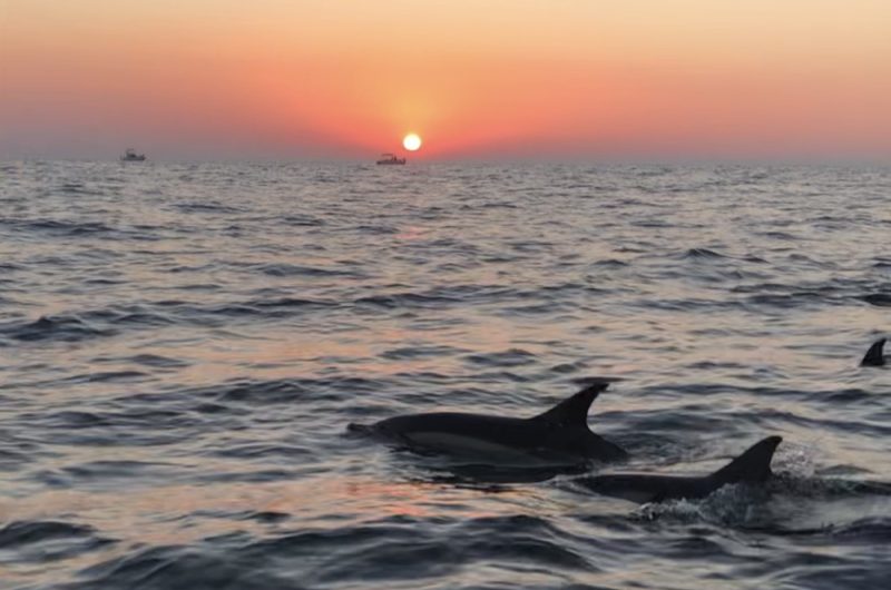 Manautique 2025 redim (4)