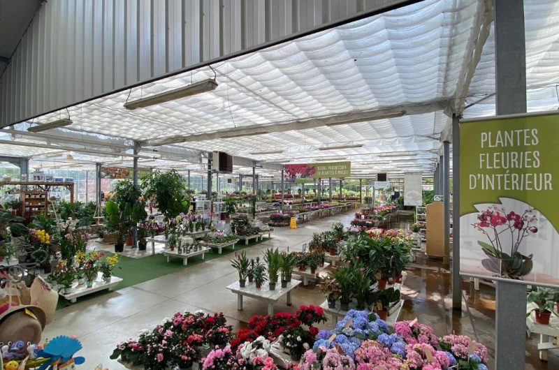 Marche-aux-fleurs-14