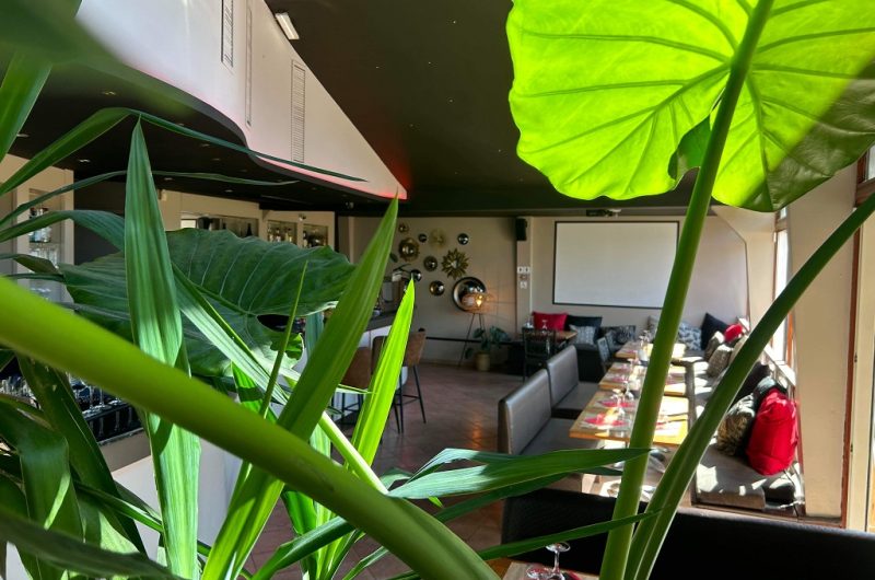 Meltin5_Moliets@Meltin_OTI_LandesAtlantiqueSud