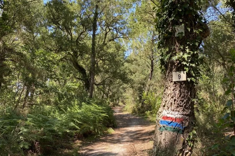 Sentier pédestre Lou coupe-came