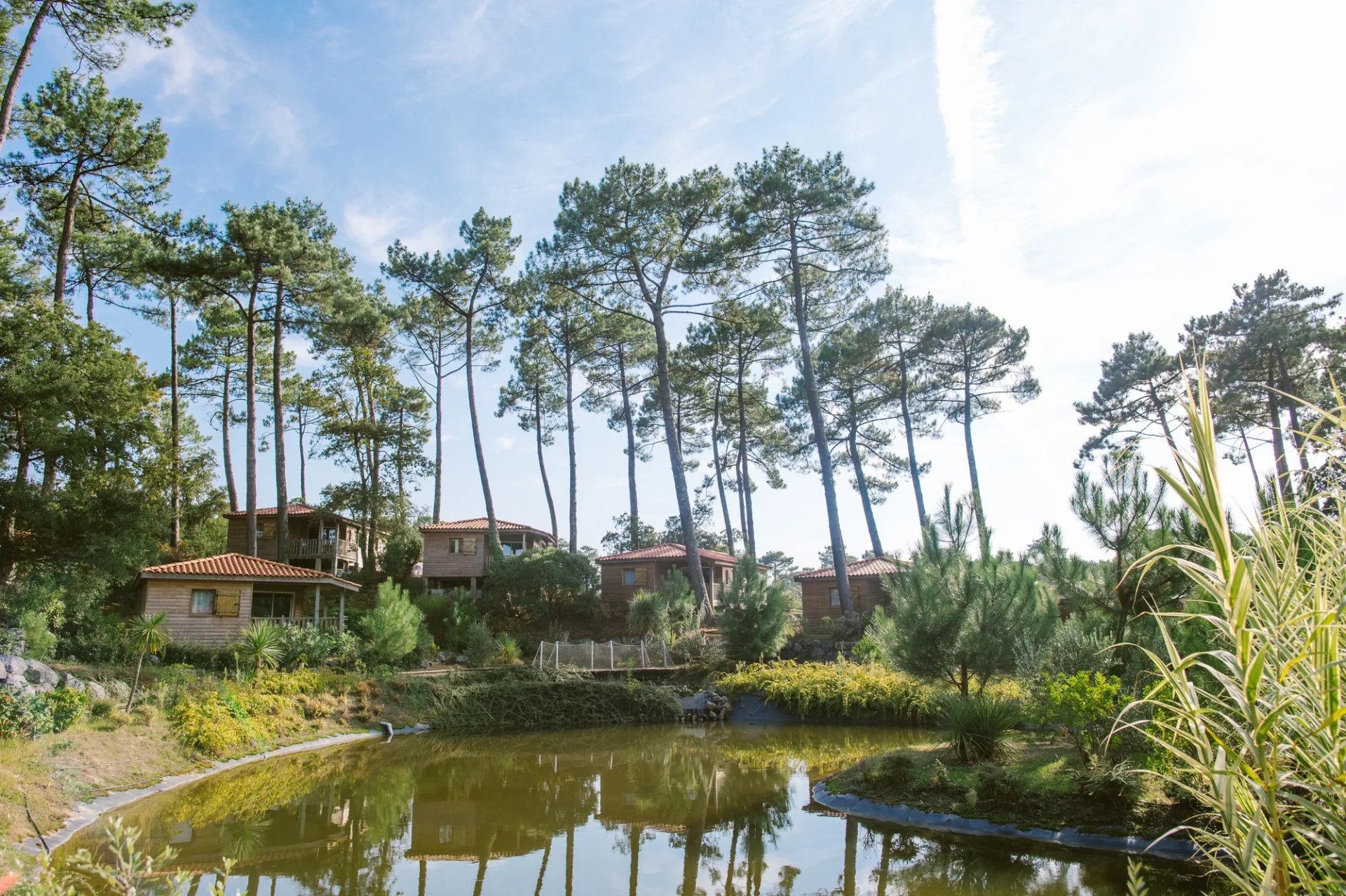 Natureo-HD-72-_O1B4080