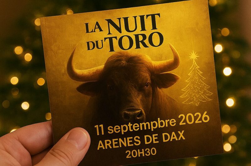 Nuit-du-toro-Cadeau-Noel
