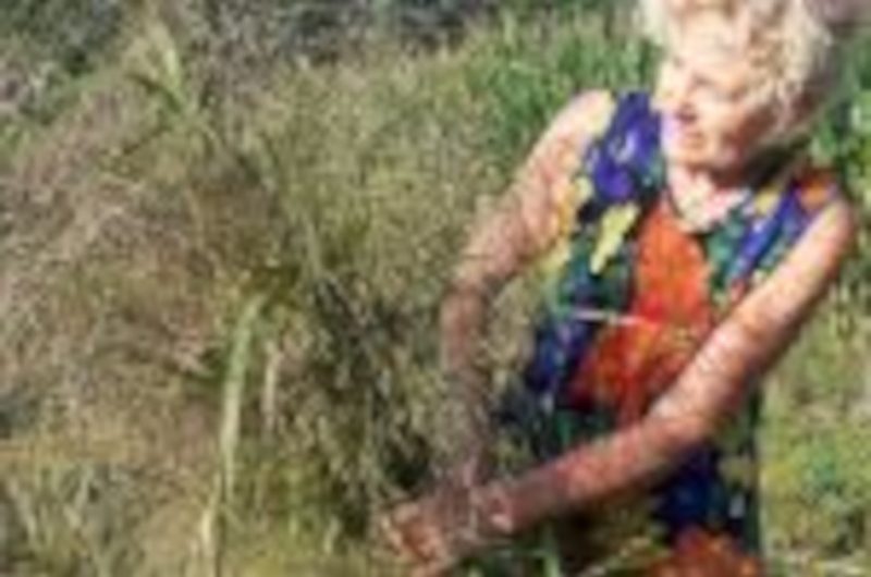 OTPT_Atelier_fleurs_séchées_02