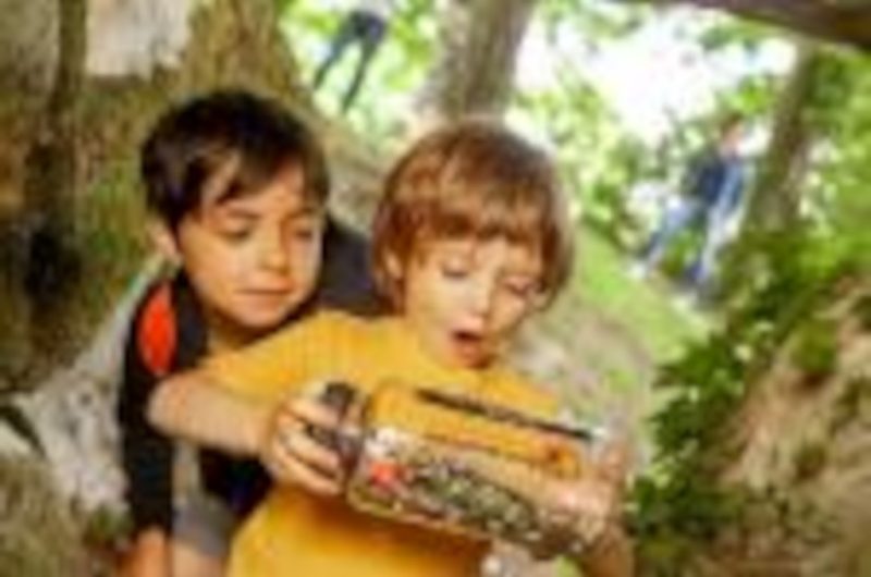 OTPT_CircuitTerraAventure_Tartas_2