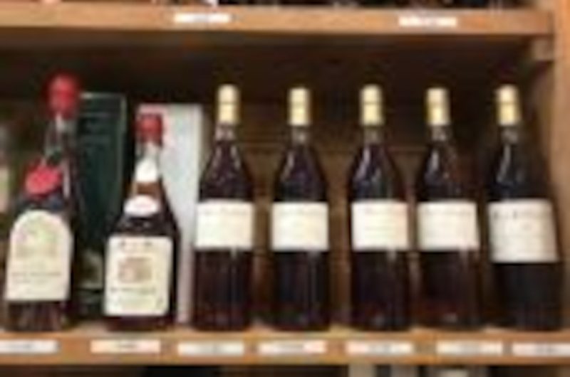 OTPT_De_Angelis_Pontonx_02