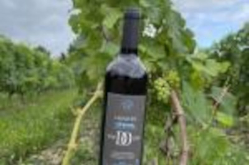 OTPT_LabastideFondousse_Villenave_03