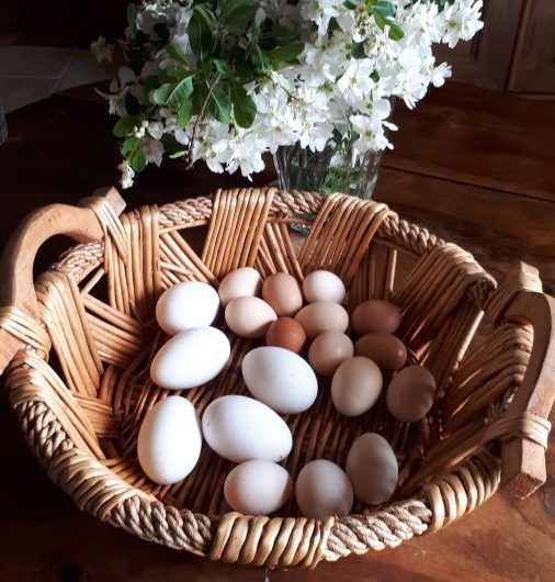 Oeufs-EntreAdouretMontagne